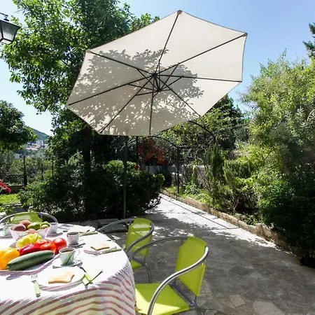 Blue & * دوبروفينك